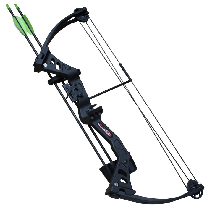 Haller Compoundbogen Set, schwarz, Fiberglas, 68 cm, 25 lbs, mit 2 Pfeilen und Zubehör